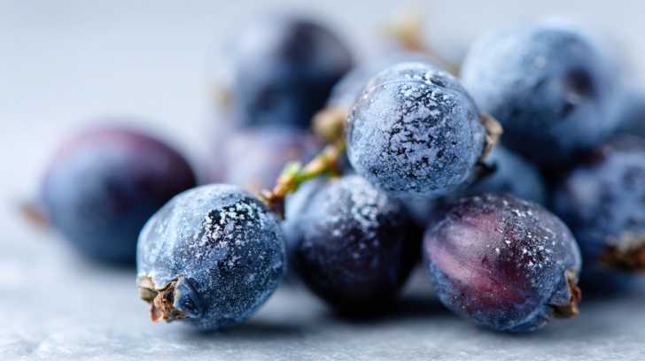 closeup jenever bessen