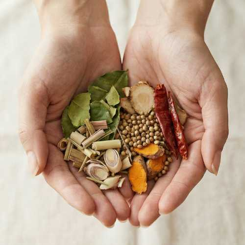 top view van 2 handen die gedroogde gedroogde indische kruiden en specerijen vasthouden