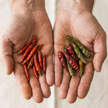 2 handen, op de ene hand liggen cayenne pepers, op de andere gedroogde chillipepers