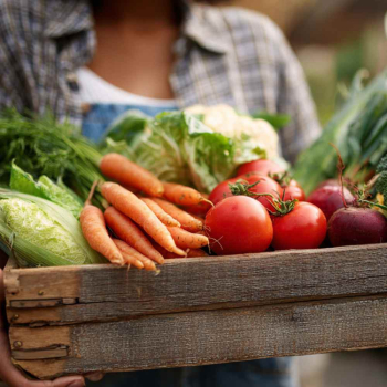 smiling woman holding a rustic wooden crate filled with fresh seasonal vegetables (carrots with greens attached, cauliflower, tomatoes, bell peppers, zucchini, leafy greens, crop salad, corn).