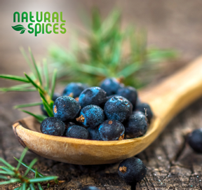 Jeneverbessen: Gebruik, Voordelen & De Beste Alternatieven